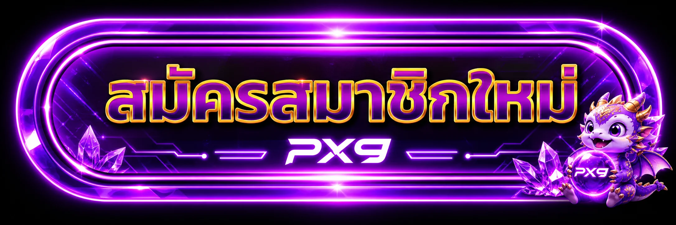 แบนเนอร์ PX9 ทางเข้าอย่างปลอดภัย